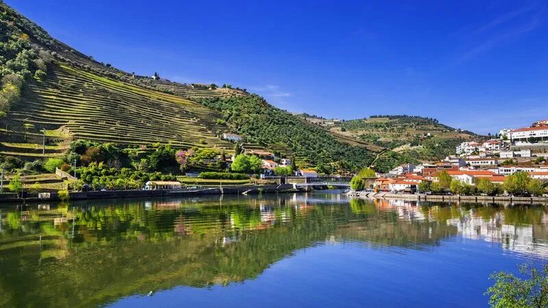 Douro Taste Experience A Culinary Journey Along Portugal's Iconic River