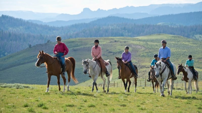 How to Plan the Perfect Family Fun Day with Horseback Riding