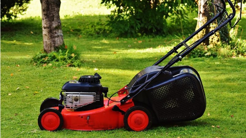 What Essential Tips Can Improve Your Lawn Care Routine