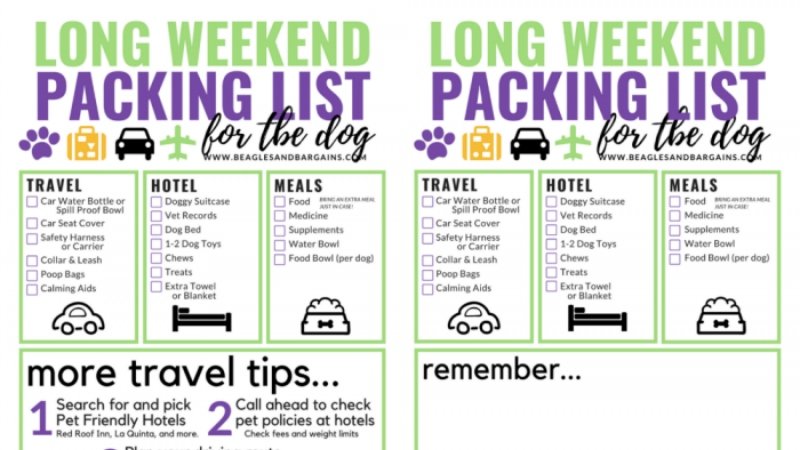 The Ultimate Weekend Trip Packing List: Traveling With Your Dog