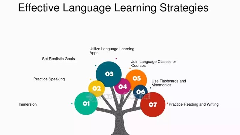 Effective Resources and Tools for Multi-Language Learners