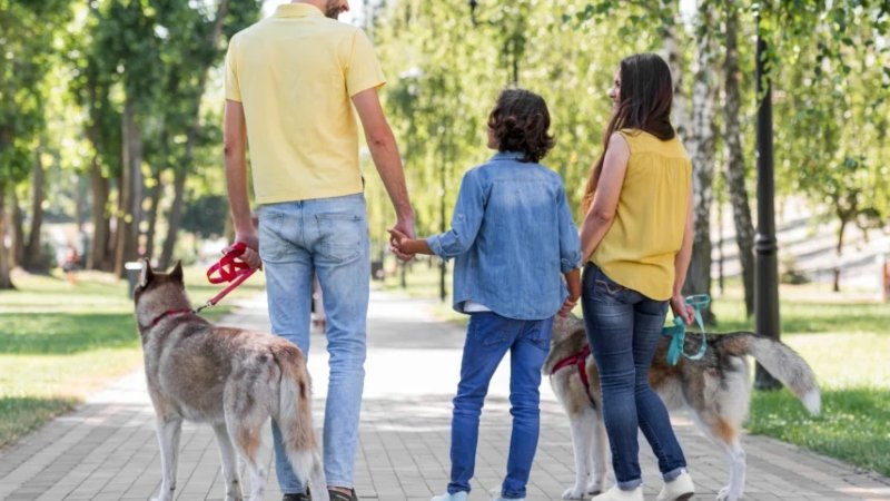 Pet-Friendly Apartments in Dubai: A Guide for Animal Lovers