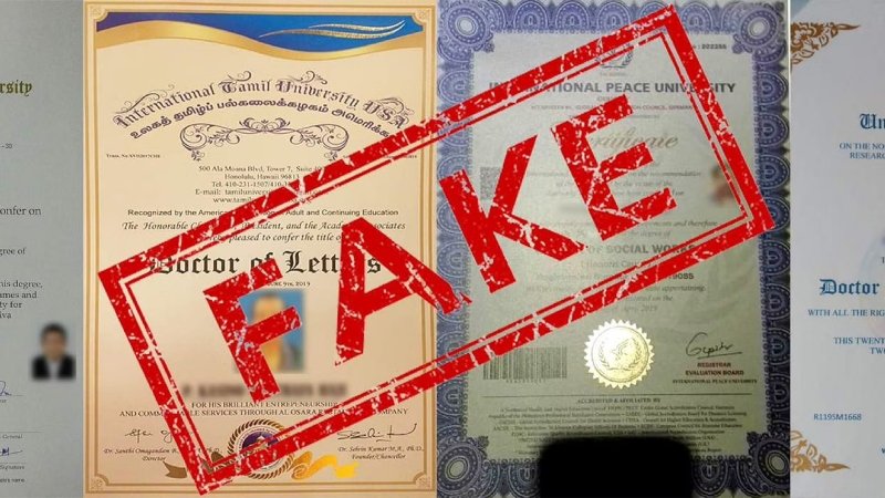 The Rise of a Fake Degree Certificate: Reasons and Consequences