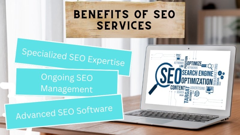 The Ultimate Guide to Choosing an Organic SEO Services Company