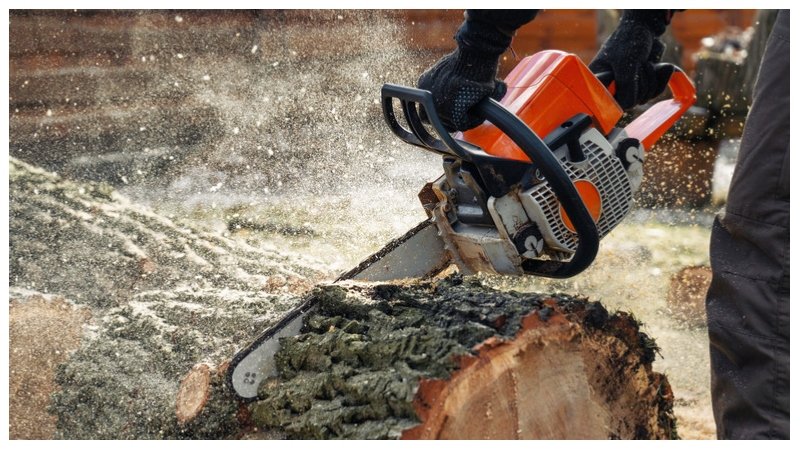 The 3 Essential Chainsaw Maintenance Tips