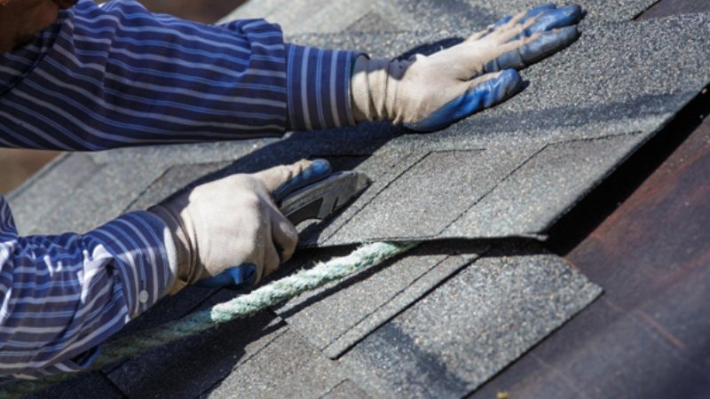 Top Shingle Roof Services for Lasting Protection