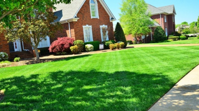 Organic Lawn Fertilizer