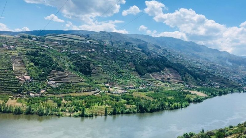 Exploring the Peso da Régua Bölgesi: Hotels and Flight Prices