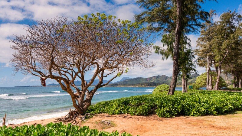 Waikiki Beach