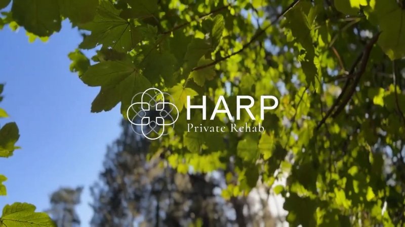 Inside the Journey: What to Expect from a Stay at Harp Rehab